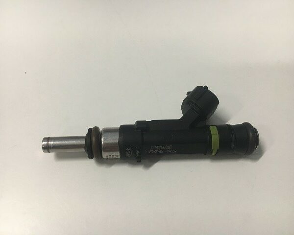 RS-5558 – Injector 300HP STOCK (1 piece)