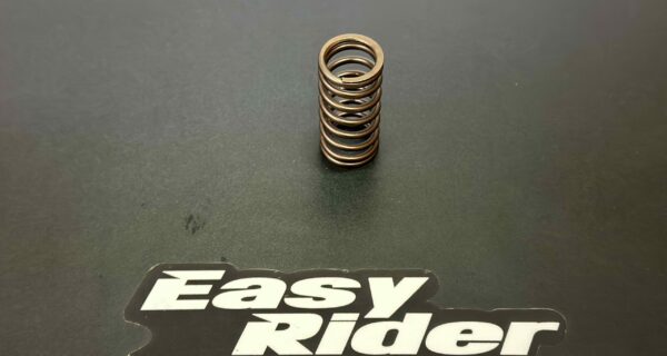 RS-4216 – Valve spring