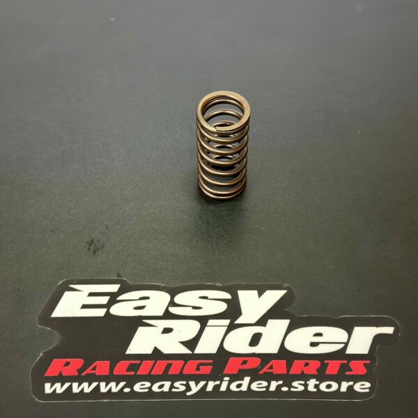 RS-4216 – Valve spring