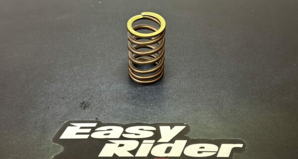 RS-4217 – Valve spring