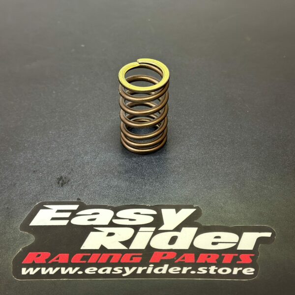 RS-4217 – Valve spring