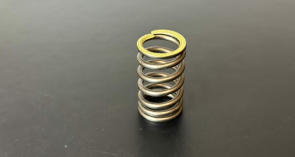 RS-4217 – Valve spring