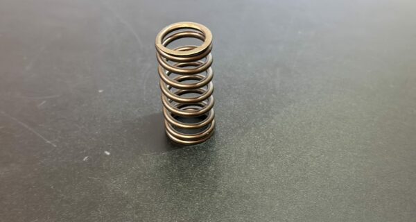 RS-4216 – Valve spring
