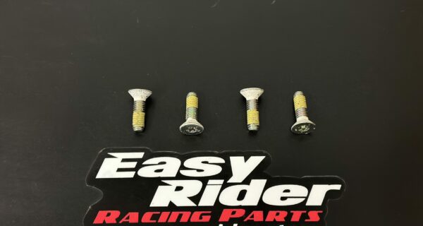 RS-3335 – Screw kit for retaining disc 3331/3385