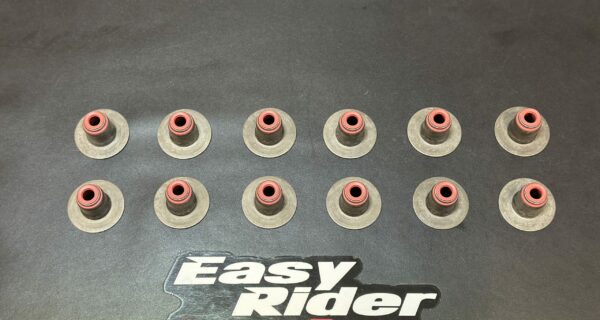 RS-4220 – Valve seal rubber kit