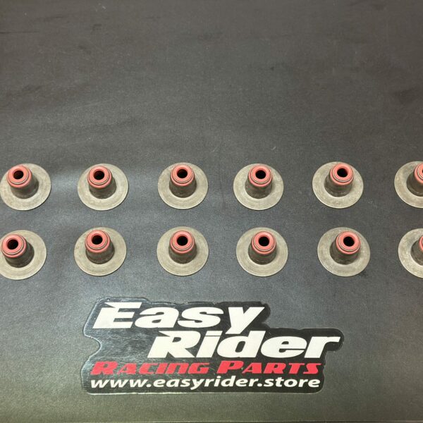 RS-4220 – Valve seal rubber kit