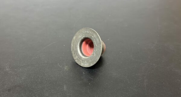 RS-4220 – Valve seal rubber kit