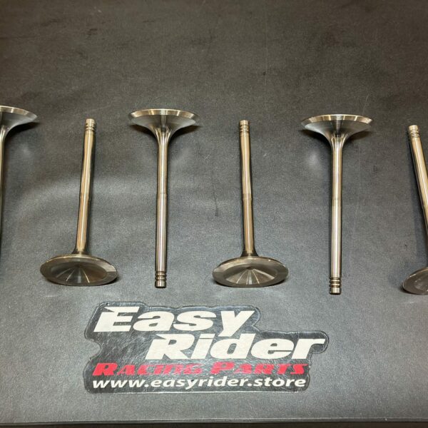 RS-4210 – Valve admission racing light kit