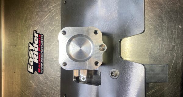 PSV2 – PLATE RXP 300 2021