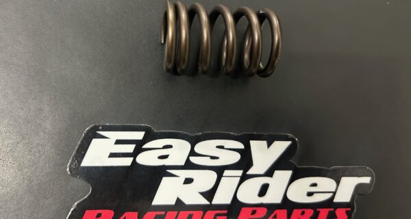 RS-4218 – VALVE SPRING LARGE FOR 325 HP