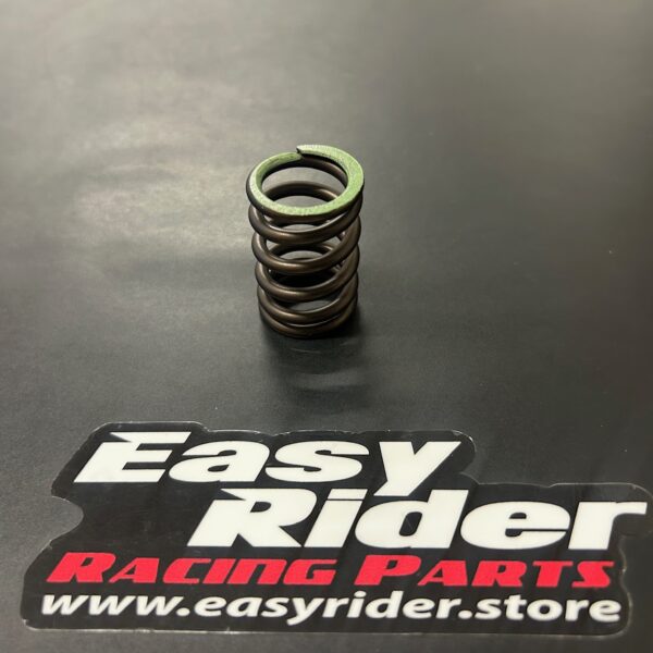 RS-4218 – VALVE SPRING LARGE FOR 325 HP