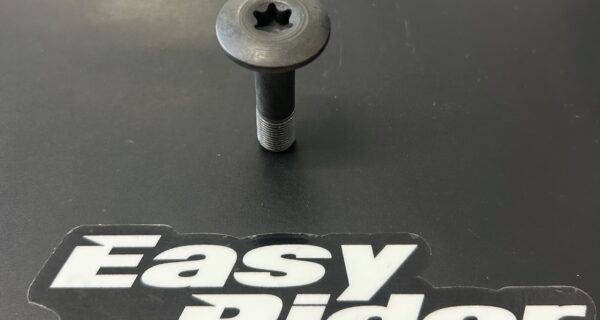 RS-4607-SCREW M10X1 FOR GEAR